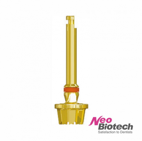 C-Рімер з набору SLA